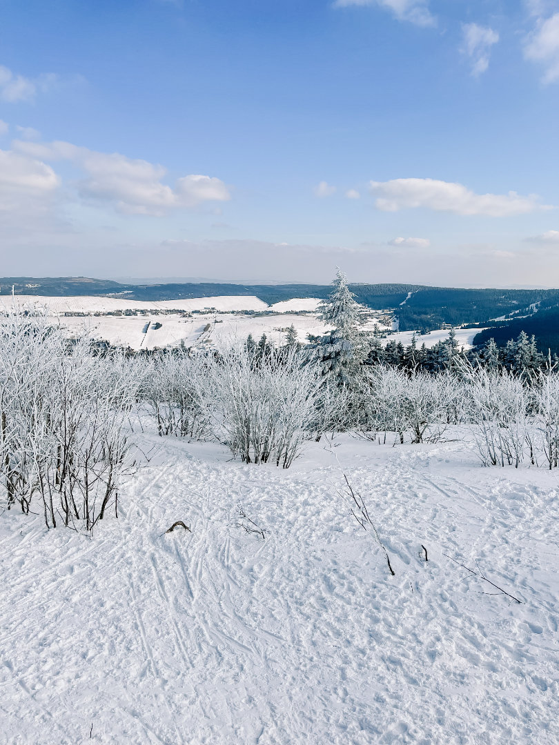 Elldus Resort Fichtelberg Oberwiesenthal Rodelstrecke
