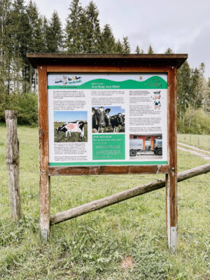 Milchweg EifelSchleife Wandern mit Kindern Ausflug Eifel NRW Natur