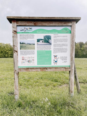 Milchweg EifelSchleife Wandern mit Kindern Ausflug Eifel NRW Natur